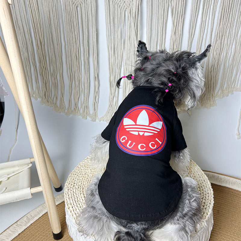 Pawcci Colab