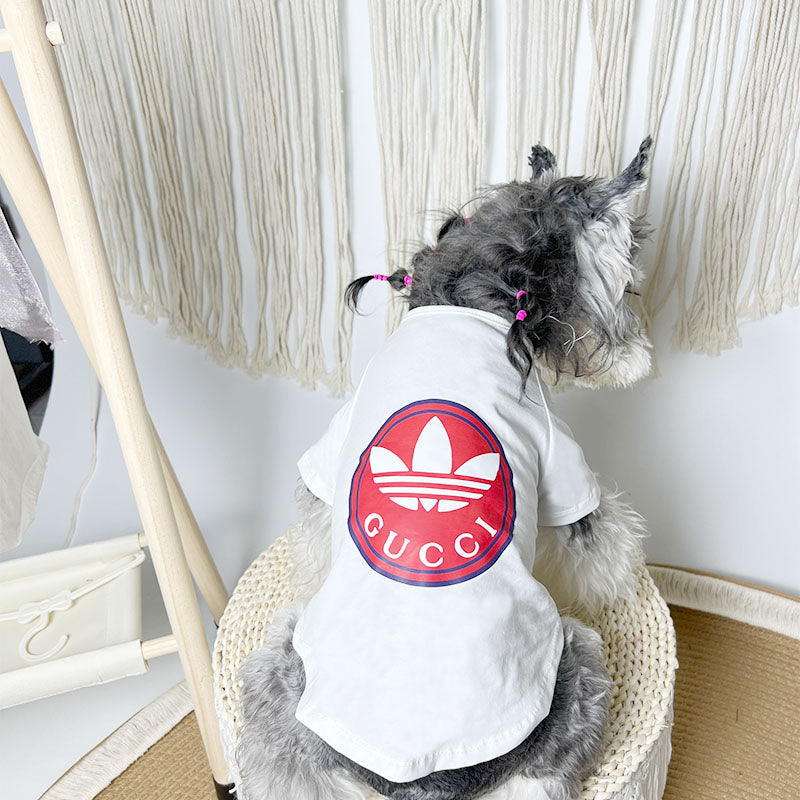 Pawcci Colab