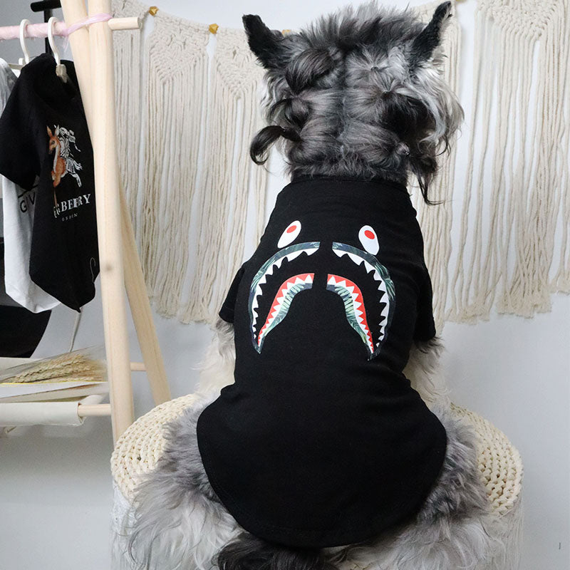 A Barking Pup