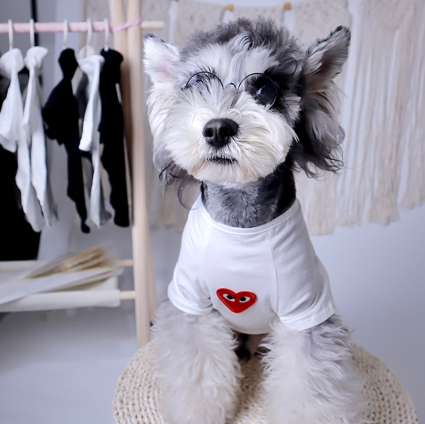 Comme des Pawcons