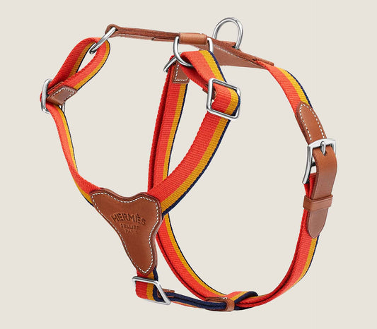 Peitoral Pawmès Rocabar
