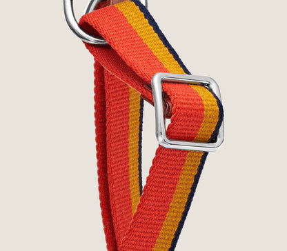Peitoral Pawmès Rocabar