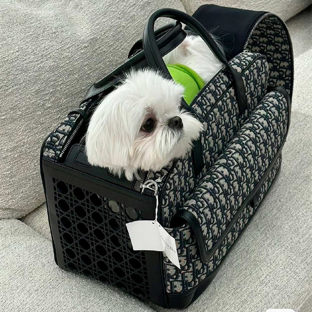 Dogior