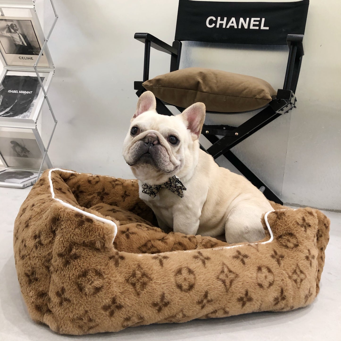 Louis Pawtton Colors Pet Bed