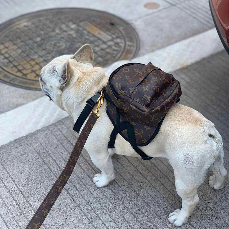 Mochila Louis Pawtton