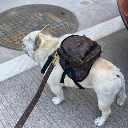 Mochila Louis Pawtton